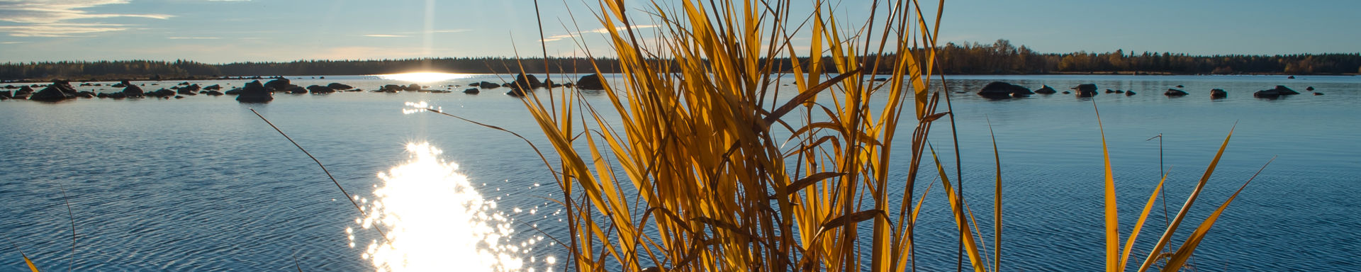 Kuvassa hiekkaranta ja merenlahti kirkkaassa auringonpaisteessa.