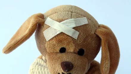 Koiralelu, sairas, laastari päässä.