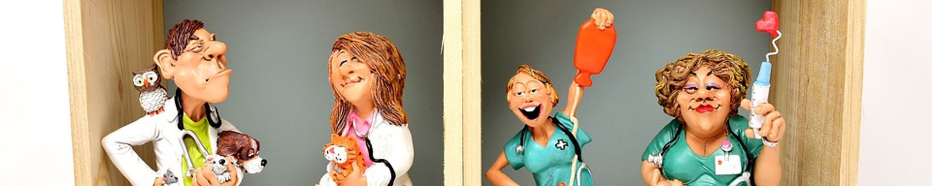 Eläinlääkärit ja hoitajat - lelukuvat