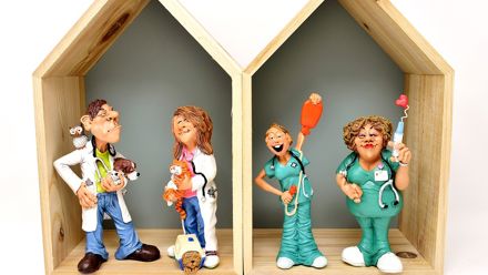 Eläinlääkärit ja hoitajat - lelukuvat