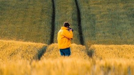 Mies keskellä viljapeltoa.