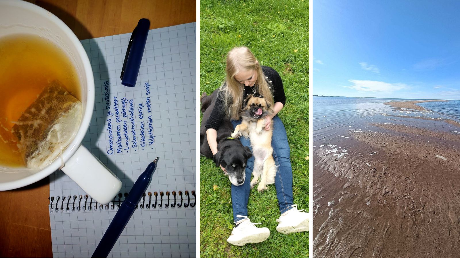 Kuvakollaasi naisesta ja koirista, hiekkarannasta ja teekupista.