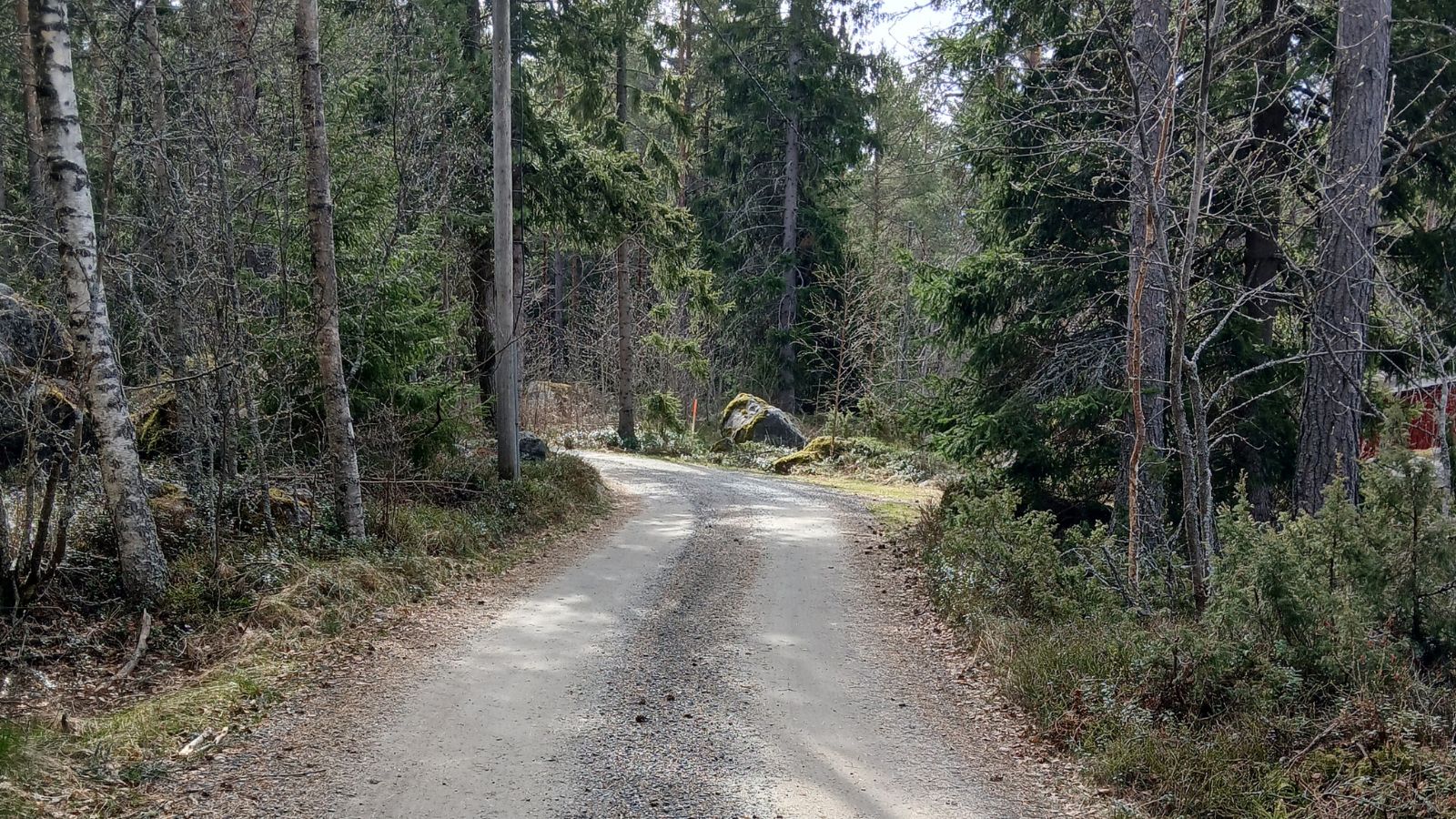 Keväinen metsätie.