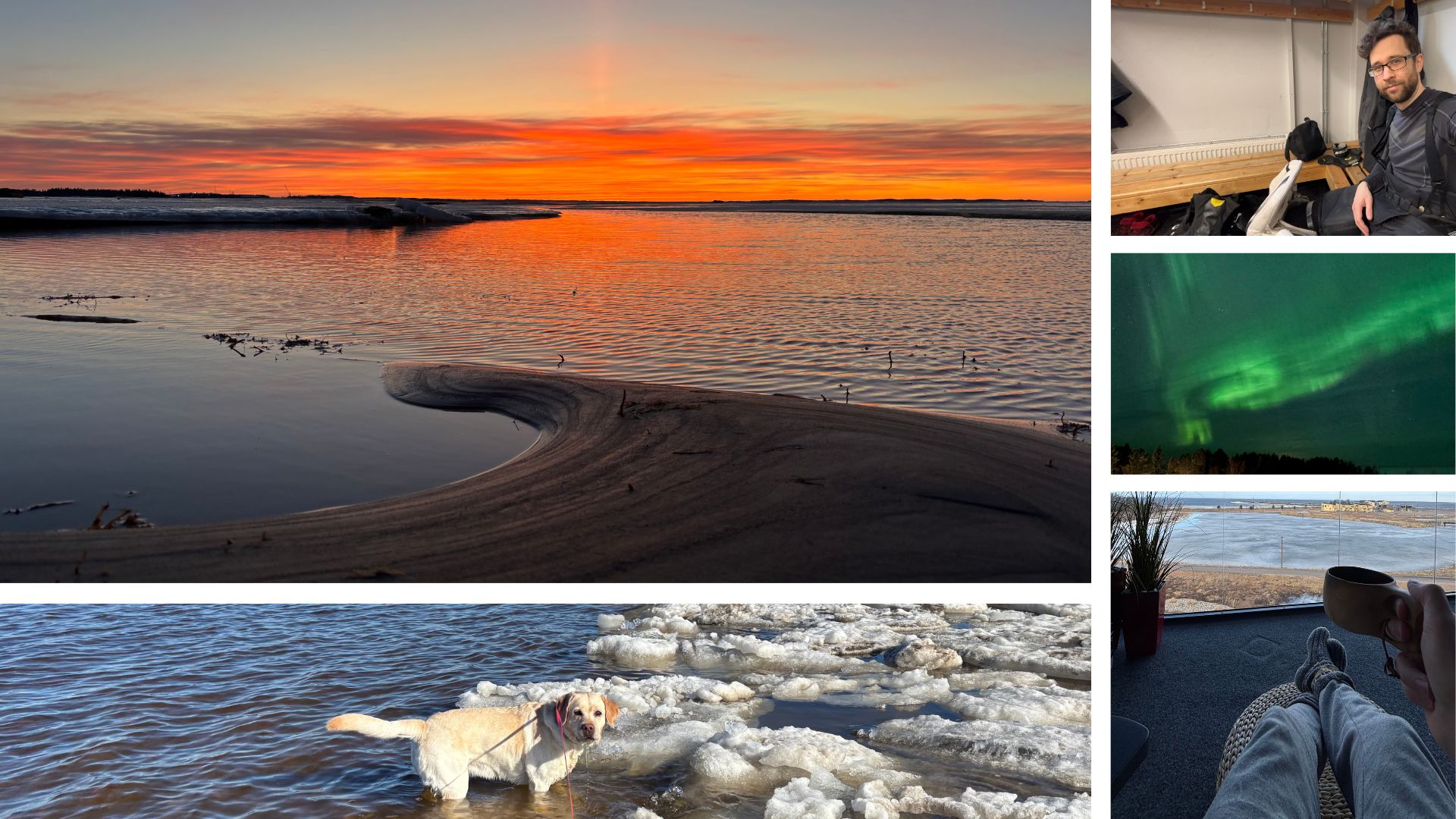 Kuvakollaasi auringonlaskusta ja jäiden seassa kahlaavasta koirasta.