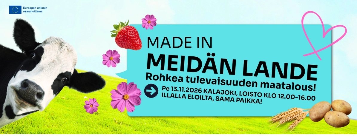 Kuvassa mainos Made in meidän lande tilaisuudesta, kuvassa myös lehmä, kukka marjoja, perunoita