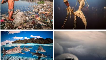 collage of pictures of dirty sea
