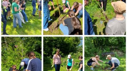 outdoor activities with students