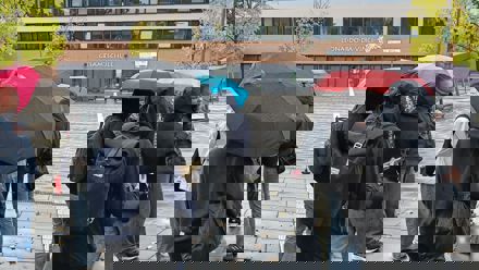 people in rain with umbrellas