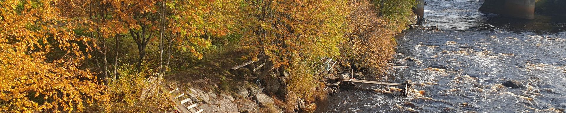 Jokiranta ja silta taustalla.